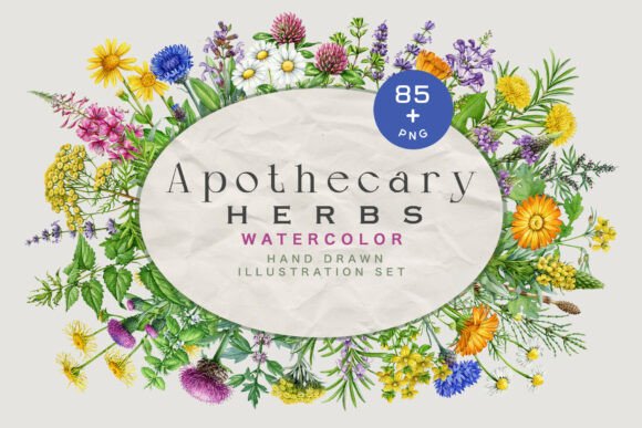 Download Apothecary Herbs Illustration Set - Illustration Collection